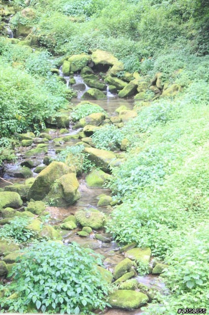 新手上路~CANON500D+18-55MM拍攝~請各位前輩指教