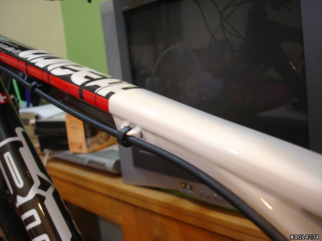 bmc team elite 01 簡單分享