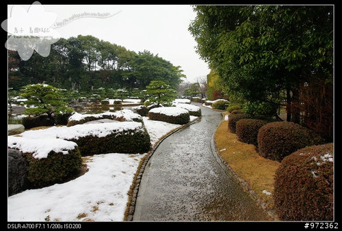 福岡--大濠公園之「日本庭園」