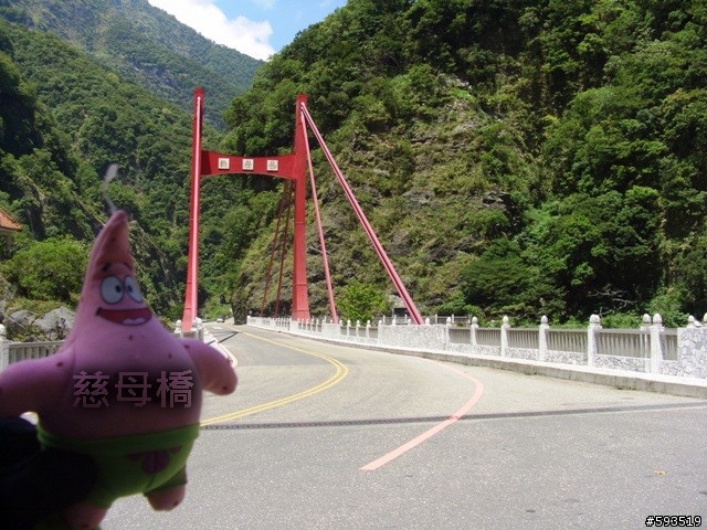 09年一路玩回家  (陽明山->武嶺->清水) [圖爆多]