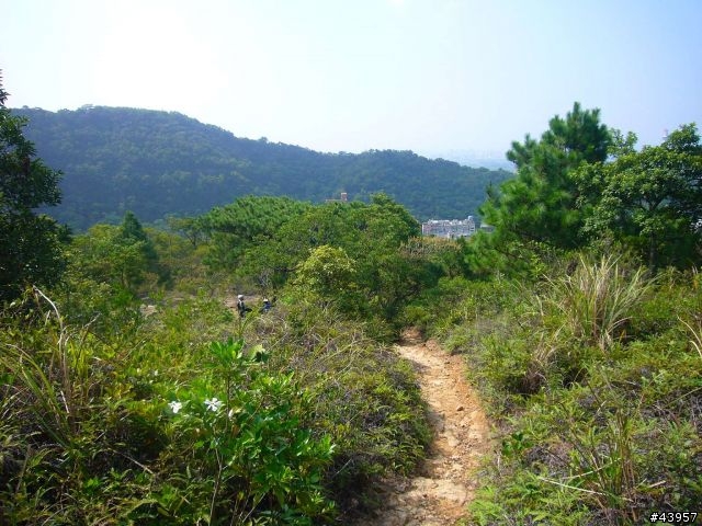 [分享]丹鳳山off road主路線懶人包