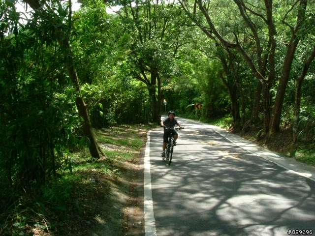 [遊記]2009-08-02(日) 再一次以你們為榮之小朋友巴拉卡之旅平安龜來