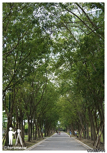 Sony α 心動之旅◆羅東運動公園