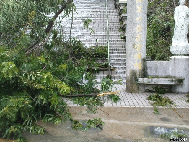 【風災過後】各團長或有約騎之車友 /近日宜走西子灣往柴山.勿上壽山....