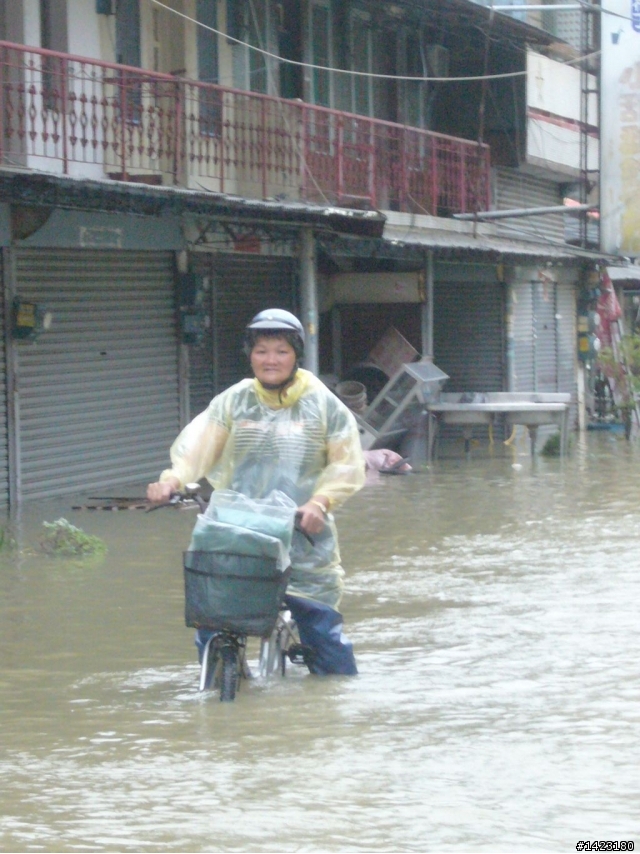 嘉義縣布袋鎮東港里現況