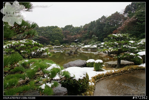 福岡--大濠公園之「日本庭園」
