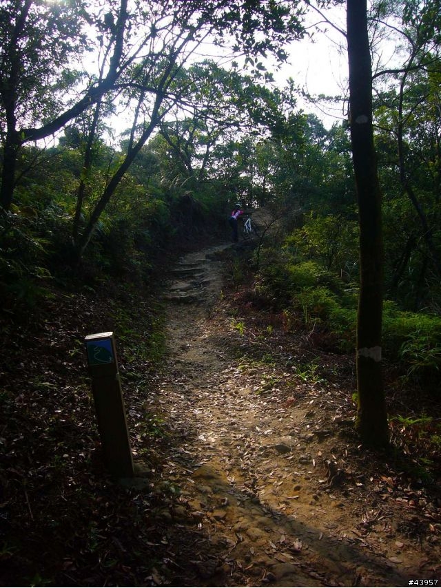 [分享]丹鳳山off road主路線懶人包