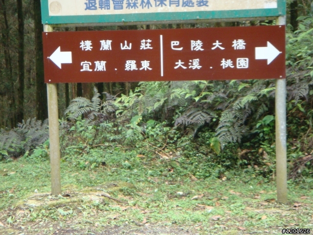 北橫軟腿