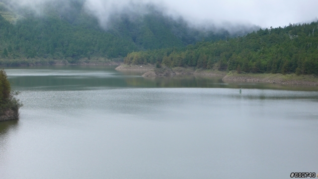 2009/08/23太平山&翠峰湖照片已全部上傳完畢