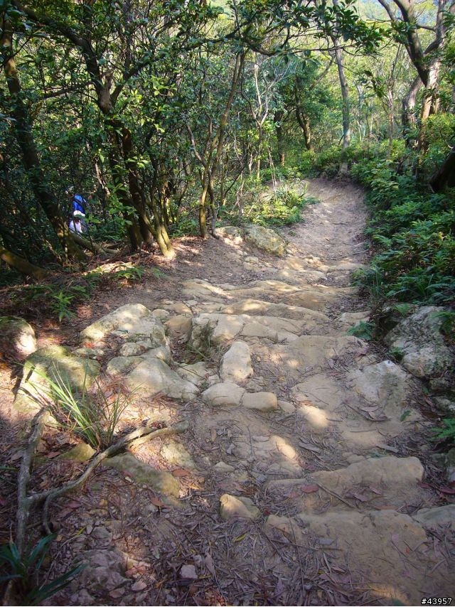 [分享]丹鳳山off road主路線懶人包