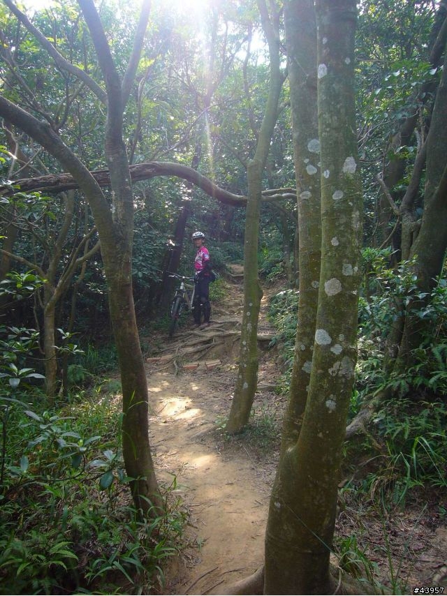 [分享]丹鳳山off road主路線懶人包