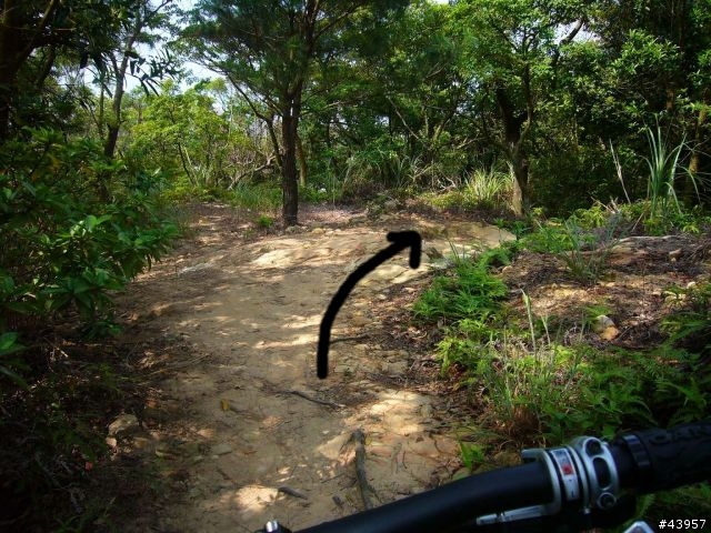 [分享]丹鳳山off road主路線懶人包