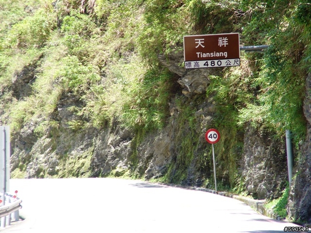 09年一路玩回家  (陽明山->武嶺->清水) [圖爆多]