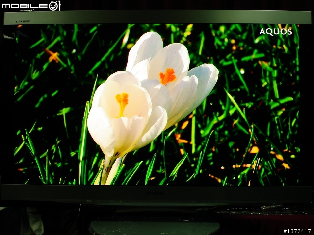 Panasonic超薄NeoPDP日規P50Z1新機實測