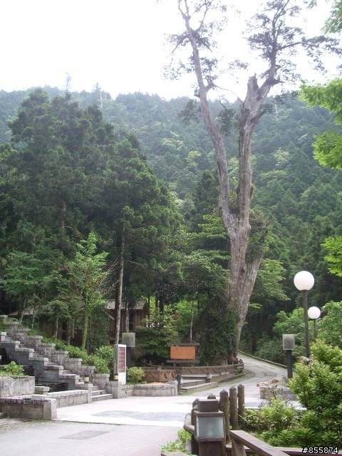 [活動取消]12月19日(六)秋天的北橫 sorry!!!