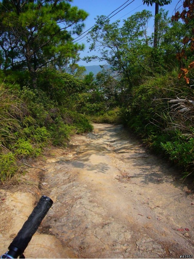 [分享]丹鳳山off road主路線懶人包