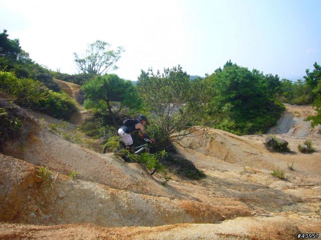[分享]丹鳳山off road主路線懶人包