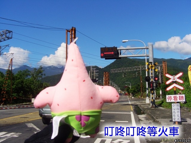 09年一路玩回家  (陽明山->武嶺->清水) [圖爆多]
