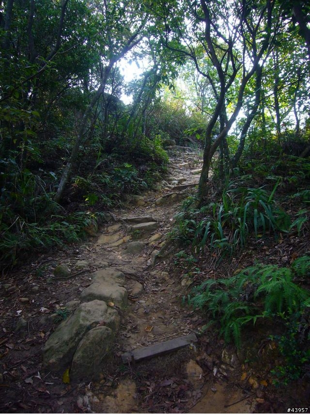 [分享]丹鳳山off road主路線懶人包