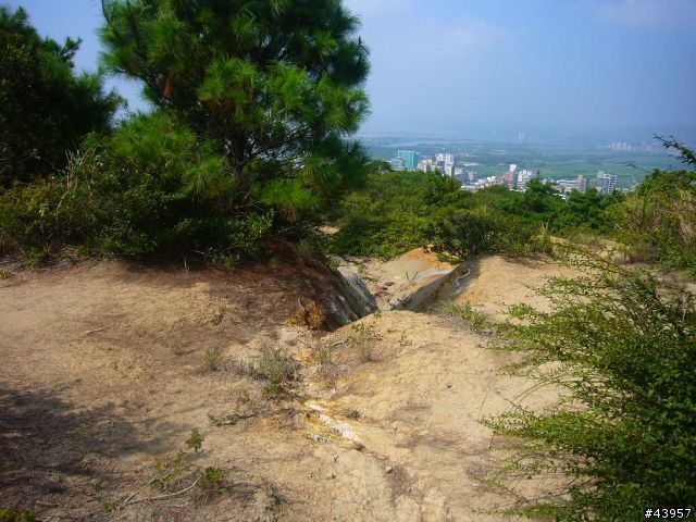 [分享]丹鳳山off road主路線懶人包
