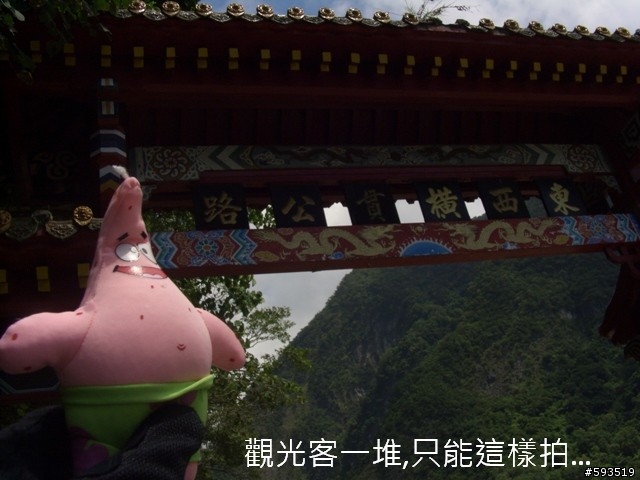 09年一路玩回家  (陽明山->武嶺->清水) [圖爆多]