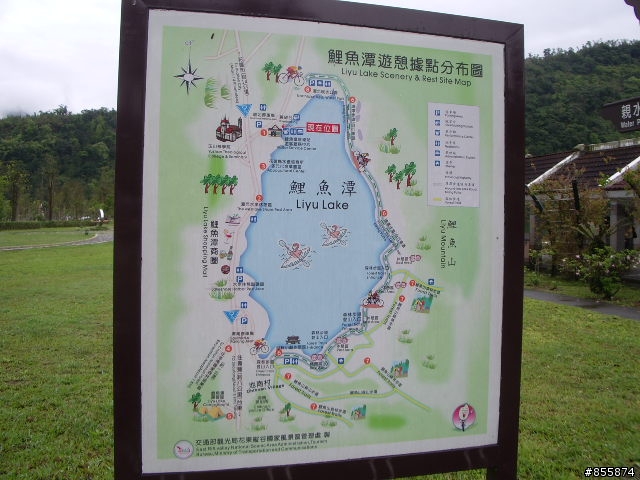 花東景點介紹之十一~鯉魚潭