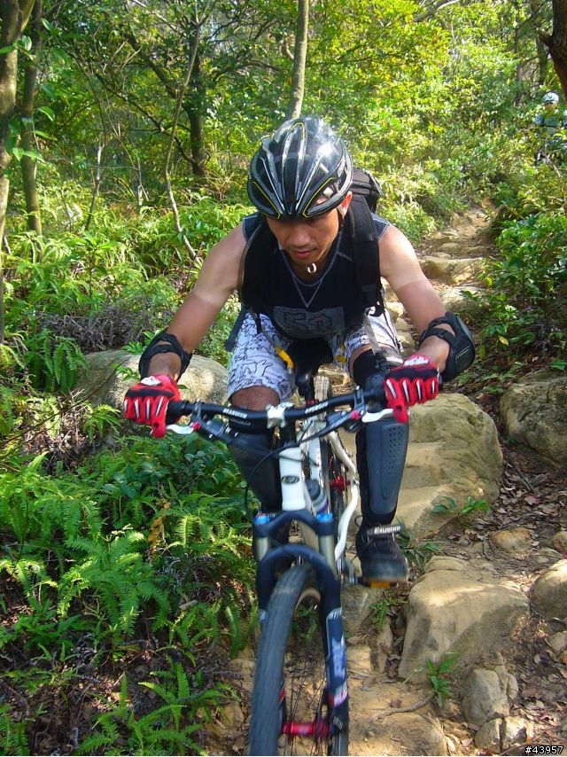 [分享]丹鳳山off road主路線懶人包