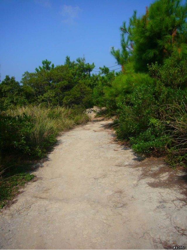 [分享]丹鳳山off road主路線懶人包