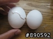 夢幻逸品 (不知道算不算)