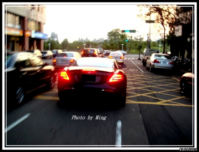 千萬神獸又出來散步了