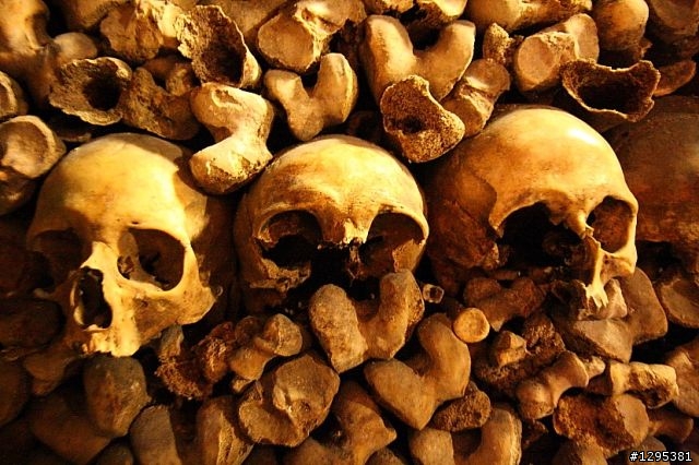 17-55IS測試~巴黎地下墓穴