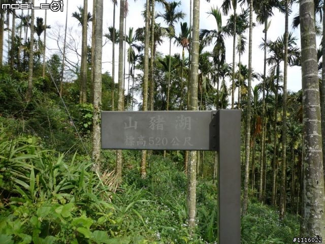 華山-華南(龜仔頭-超陡坡)