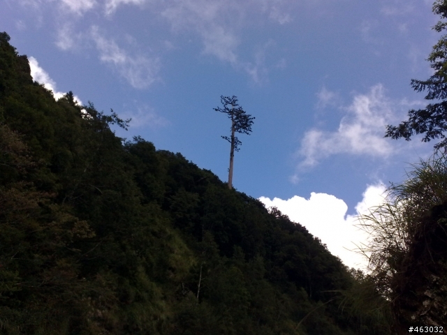 [照片] 823之汐萬百客大戰太平山