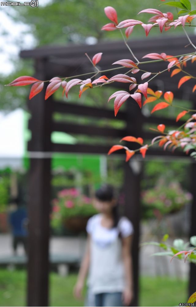 尋找D90