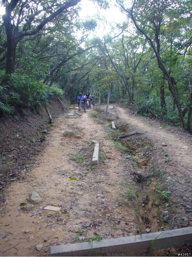 [分享]丹鳳山off road主路線懶人包