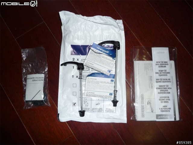 【分享】獨一無二殺很大的Carbon手工彩繪車架-失心瘋的敗家組車1F更新