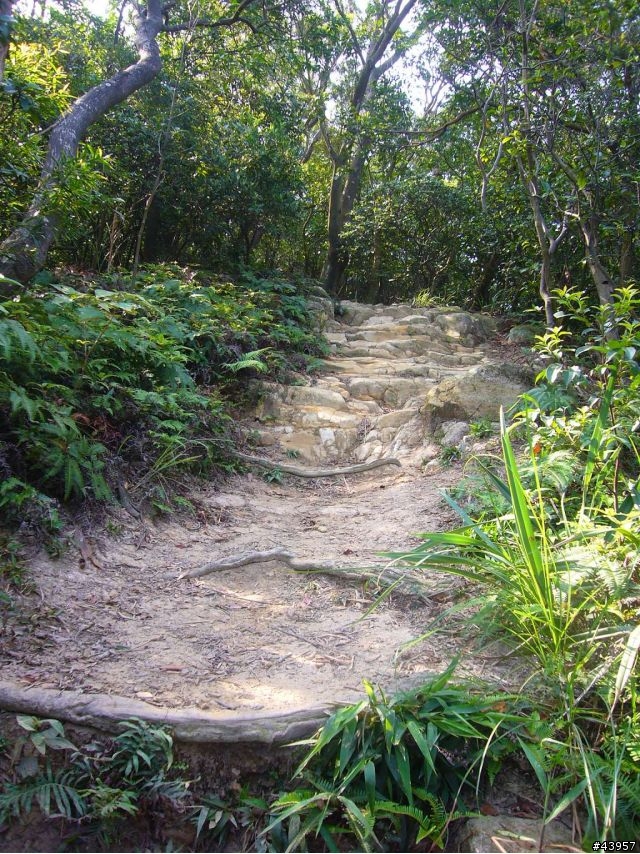 [分享]丹鳳山off road主路線懶人包