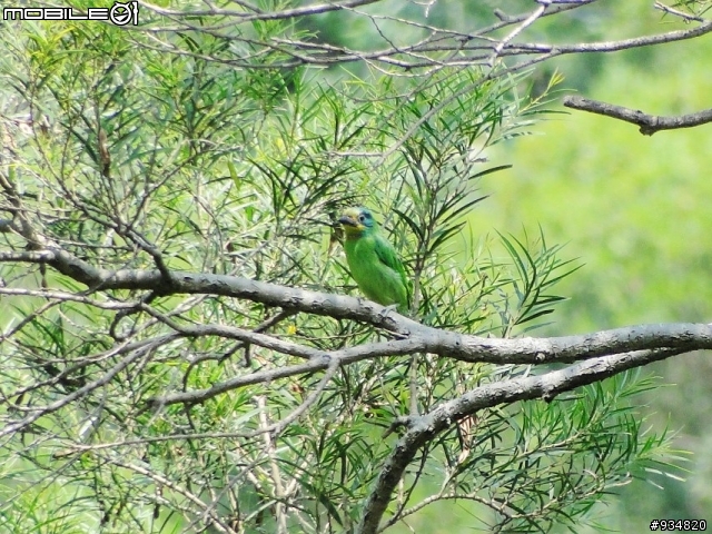 SONY DSC-HX1之VCL-DH1757*1.7鏡  新增照片