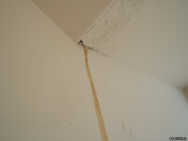 關於預售屋出現漏水現象