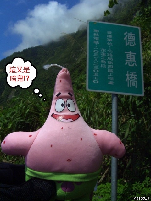 09年一路玩回家  (陽明山->武嶺->清水) [圖爆多]