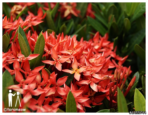 Sony α 心動之旅◆羅東運動公園