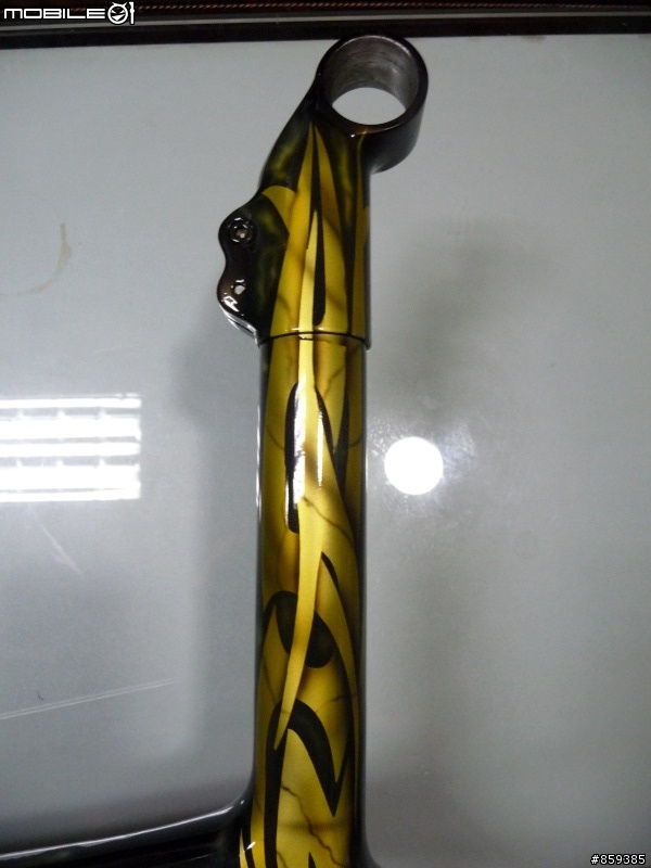 【分享】獨一無二殺很大的Carbon手工彩繪車架-失心瘋的敗家組車1F更新