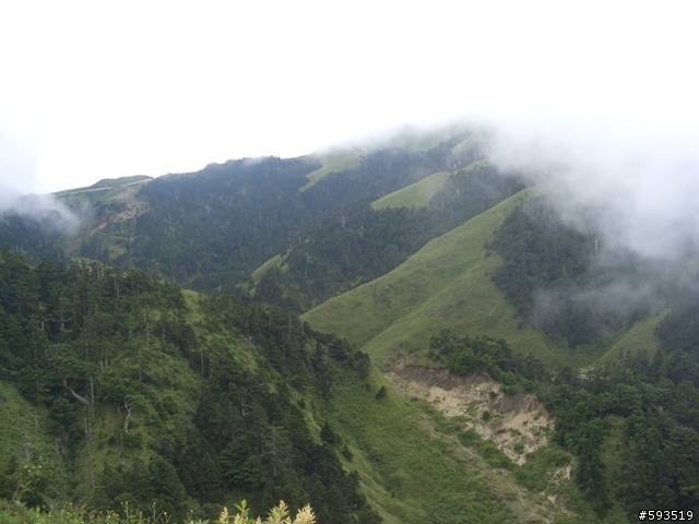 09年一路玩回家  (陽明山->武嶺->清水) [圖爆多]