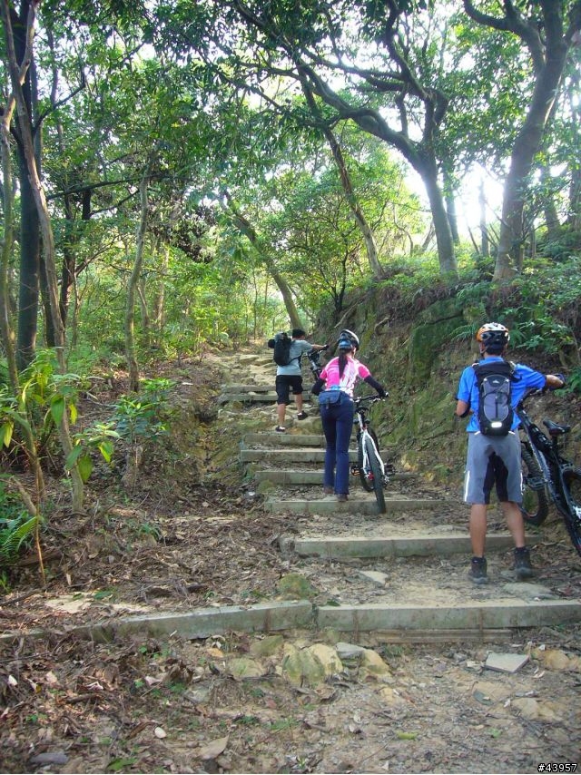 [分享]丹鳳山off road主路線懶人包