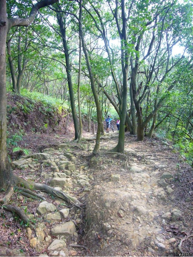 [分享]丹鳳山off road主路線懶人包
