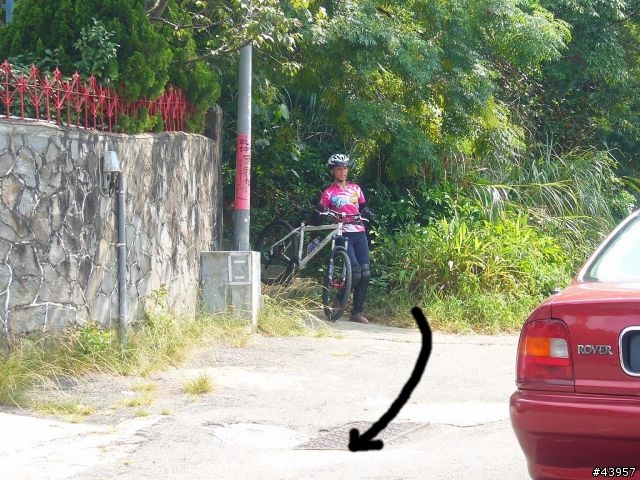 [分享]丹鳳山off road主路線懶人包