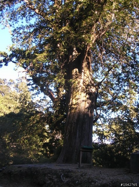 南橫真的很難橫捏~~~