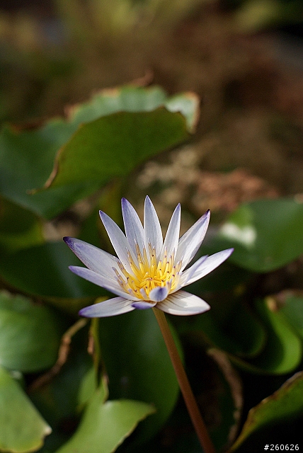 再更新，SONY羅東心動之旅回來啦！【圖片上傳】