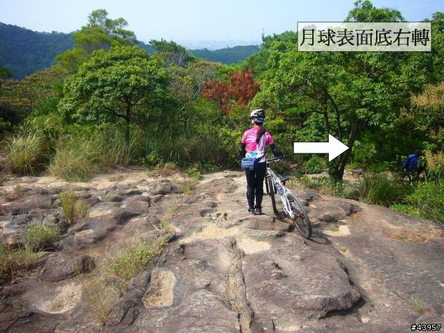 [分享]丹鳳山off road主路線懶人包