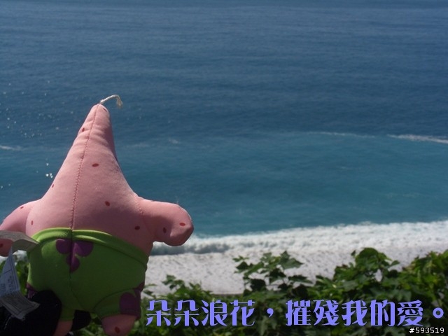 09年一路玩回家  (陽明山->武嶺->清水) [圖爆多]